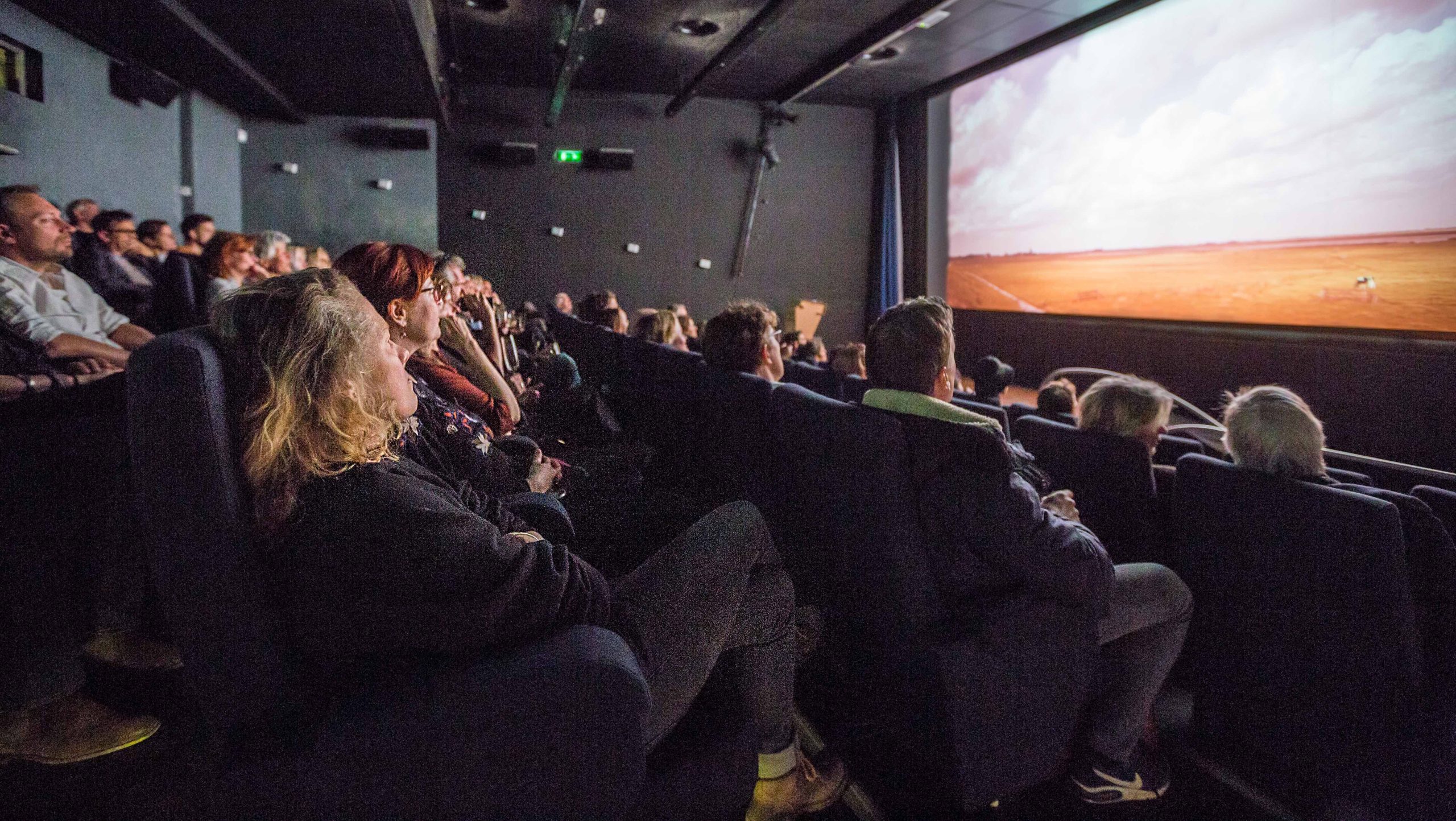 Filmhuis den haag cinema arthouse