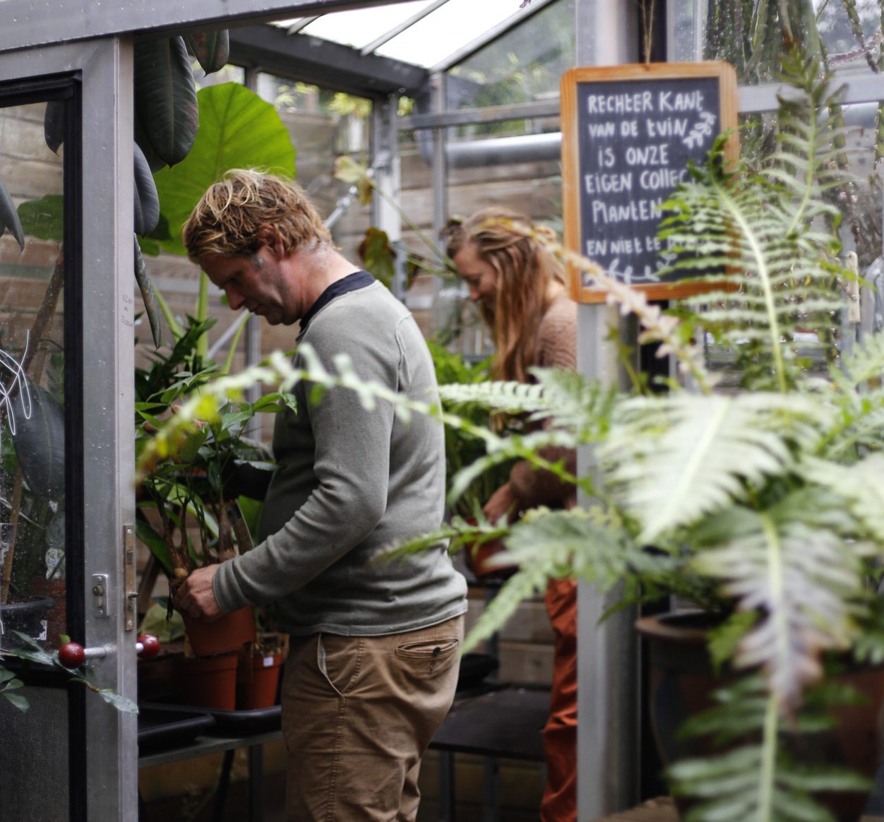 Little Green Shop schatkaart den haag zeeheldenkwartier winkel planten