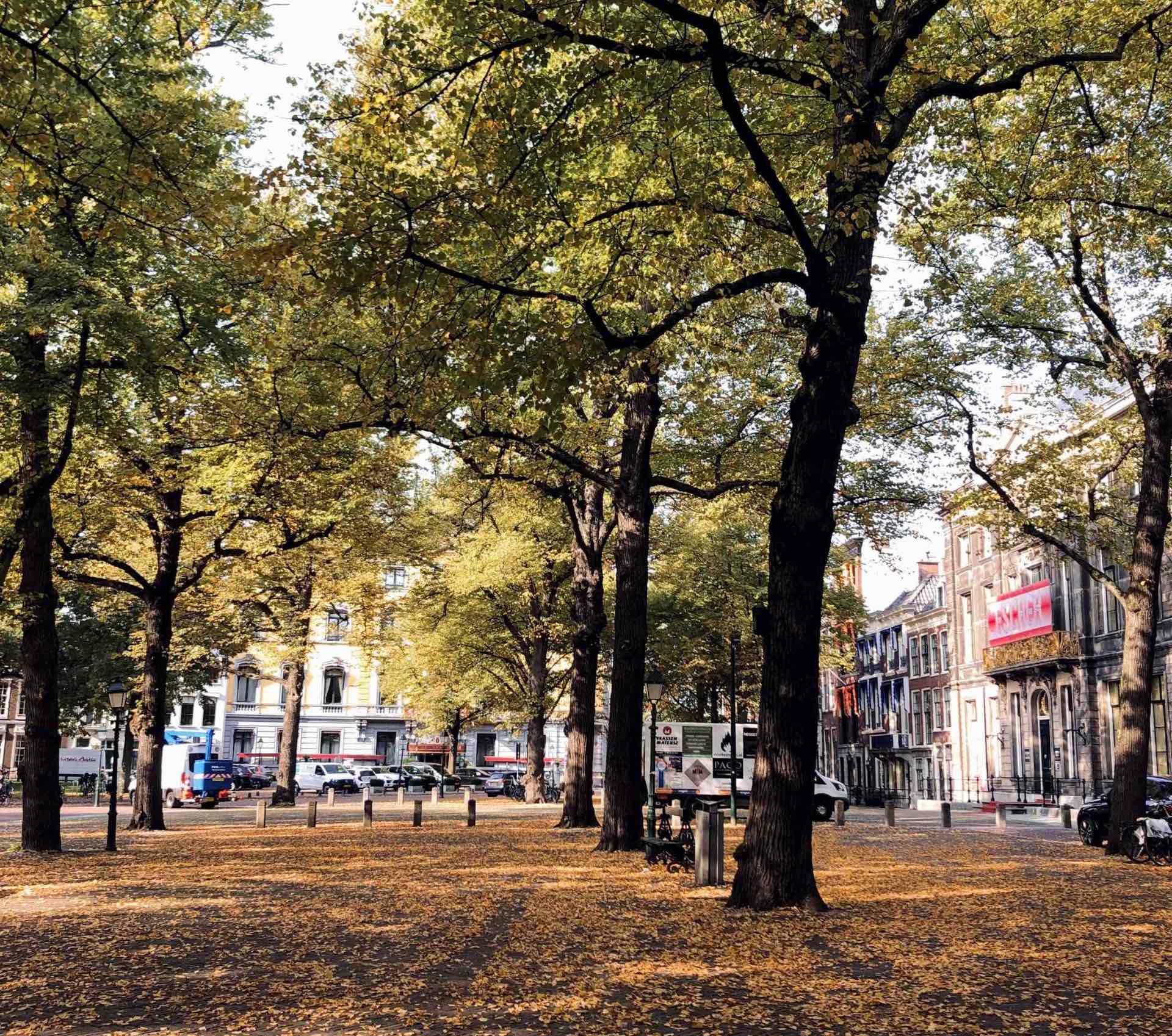 the hague lange voorhout fall autumn citytrip