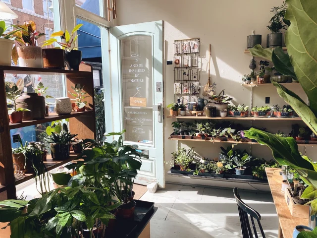 - ZET DE BLOEMETJES MAAR BUITEN -
Met dit lekkere weertje doen we niets liever dan de bloemetjes – letterlijk én figuurlijk – buitenzetten. In onze nieuwste blog nemen we je mee langs kleurrijke, geurende en groene schatten in Den Haag.

Van de mooiste bloemen bij @bloemenvandeiris 🌸, de leukste binnen- en buitenplanten bij @littlegreen.shop🪴, fleurige designs bij @ateliersientje 🌼, verse bloemenhoning bij @rechtstreex 🍯, theetjes van @kali_tengah 🫖 en zomerse matcha’s bij @hugthetea.matcha 🍵

Je leest de blog via de link in bio!

——-

- THE HAGUE IN FULL BLOOM -
With this lovely weather, the Hague is in full bloom—literally and figuratively. In our latest blog, we’ll take you on a tour of colourful, fragrant and green treasures in The Hague.

From the most beautiful flowers at @bloemenvandeiris 🌸, the prettiest indoor and outdoor plants at @littlegreen.shop 🪴, colourful designs at @ateliersientje 🌼, fresh honey at @rechtstreex 🍯, teas from @kali_tengah 🫖, and summer matchas at @hugthetea.matcha 🍵

Read the blog via the link in bio!

#haagseschatten #tipsdenhaag #tipsthehague #todothehague #weekenddenhaag #denhaag #thehague